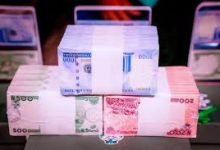 How to invest 5,000 Naira capital to get N1 million ROI