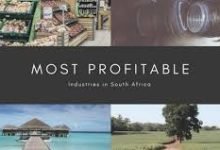 How To Start A Profitable Business In South Africa