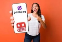 Palmpay USSD Code