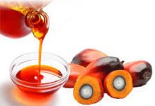 How to Start Palm Oil Business in Nigeria and Earn N3m Monthly