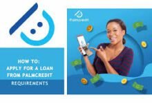 Palmcredit Loan App Download, Sign Up, USSD Code to apply, Interest Rates, Is Palmcredit Legit and Approved by CBN?