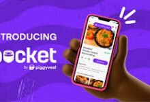 Pocket App By Piggyvest: App Download , Signup, Login, How Does It Work, Is It Legit?